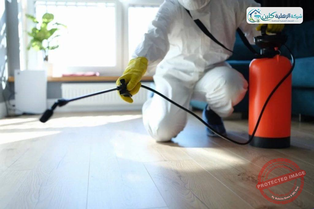 شركة مكافحة حشرات بالدمام والخبر والقطيف والظهران | شركة الاهلية كلين