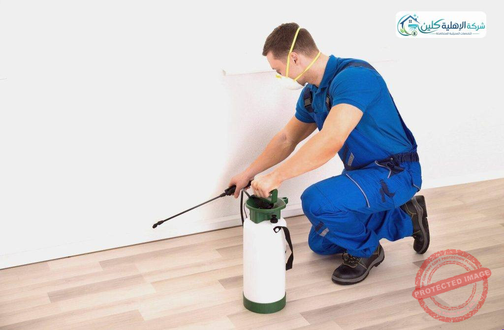 شركة مكافحة النمل الابيض بالدمام والخبر والقطيف والظهران | شركة الاهلية كلين