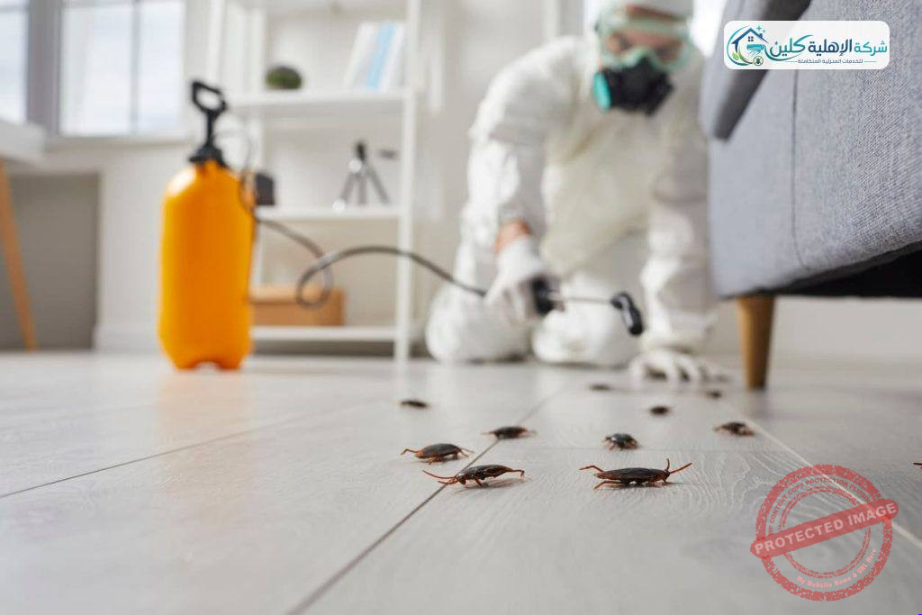 شركة مكافحة النمل الابيض بالاحساء | شركة الاهلية كلين