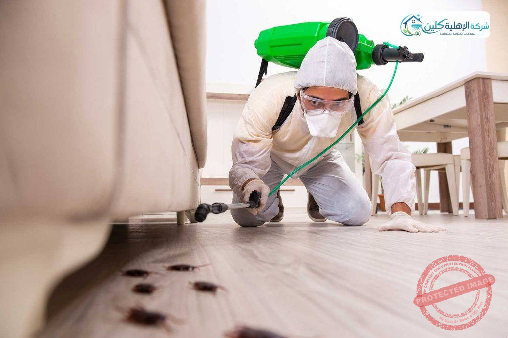 شركة رش دفان بالاحساء | شركة الاهلية كلين